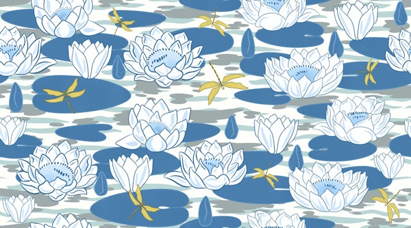 Beautiful Water Lilies 2