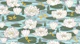 Beautiful Water Lilies 3