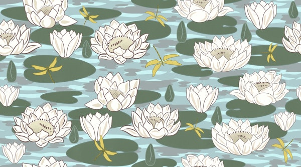 Beautiful Water Lilies 3