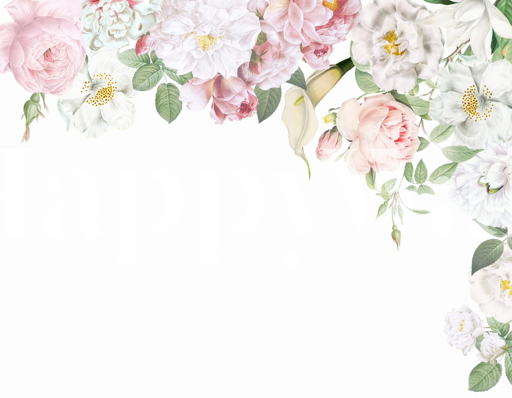 Pink and white floral wallpaper with lush roses and greenery