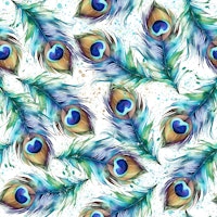 Watercolors Peacock Feathers 3 papiers peint