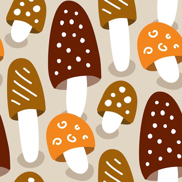 Playful mushrooms / 3049 D