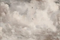 Ethereal Clouds tapeet