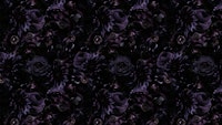 Purple Night Gothic Moody Baroque Flowers papiers peint