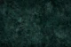 Forest biome texture dark green