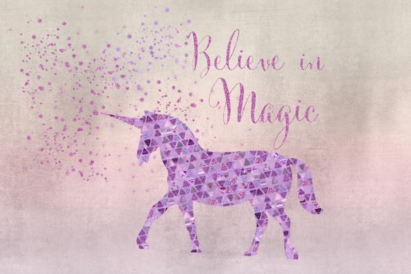 Unicorn Believe In Magic