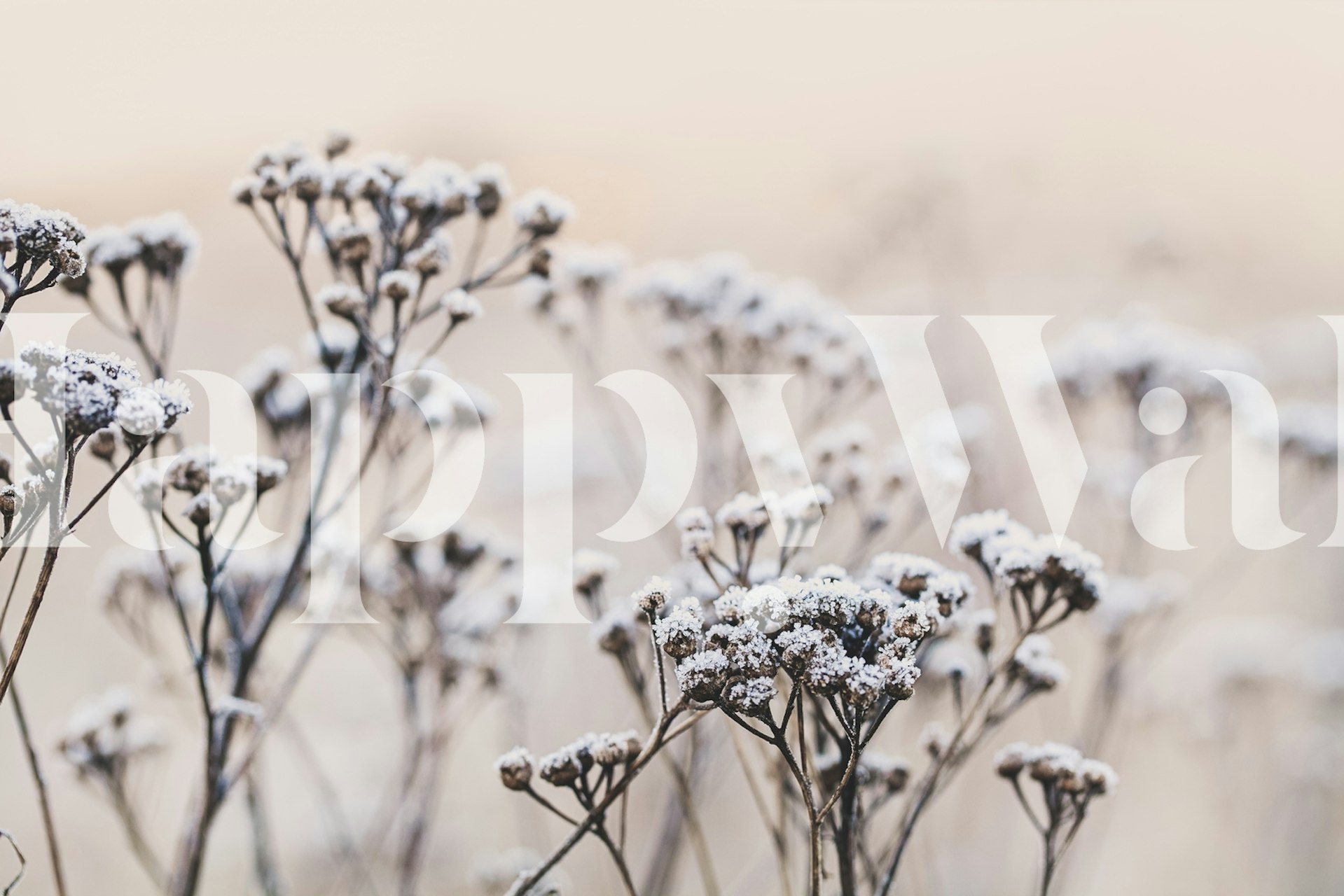 Delicate winter flowers wallpaper displayed in a room