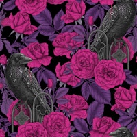 Ravens and roses, magenta, purple and black papiers peint