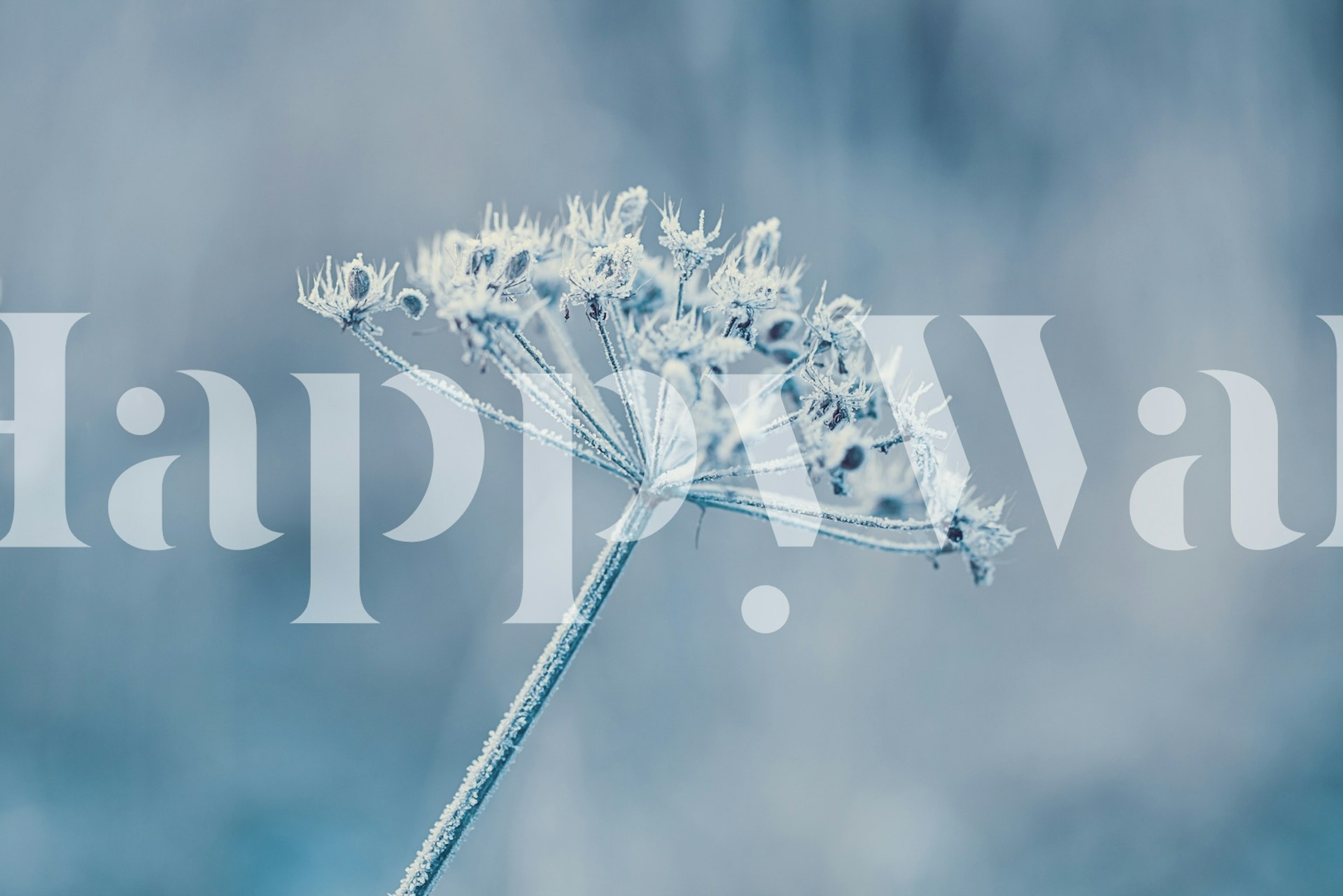 Frosted blue floral design wallpaper with delicate ice-like textures