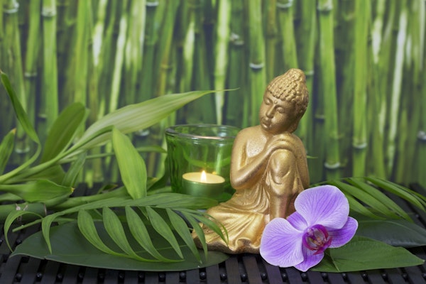 Buddha And Bamboo