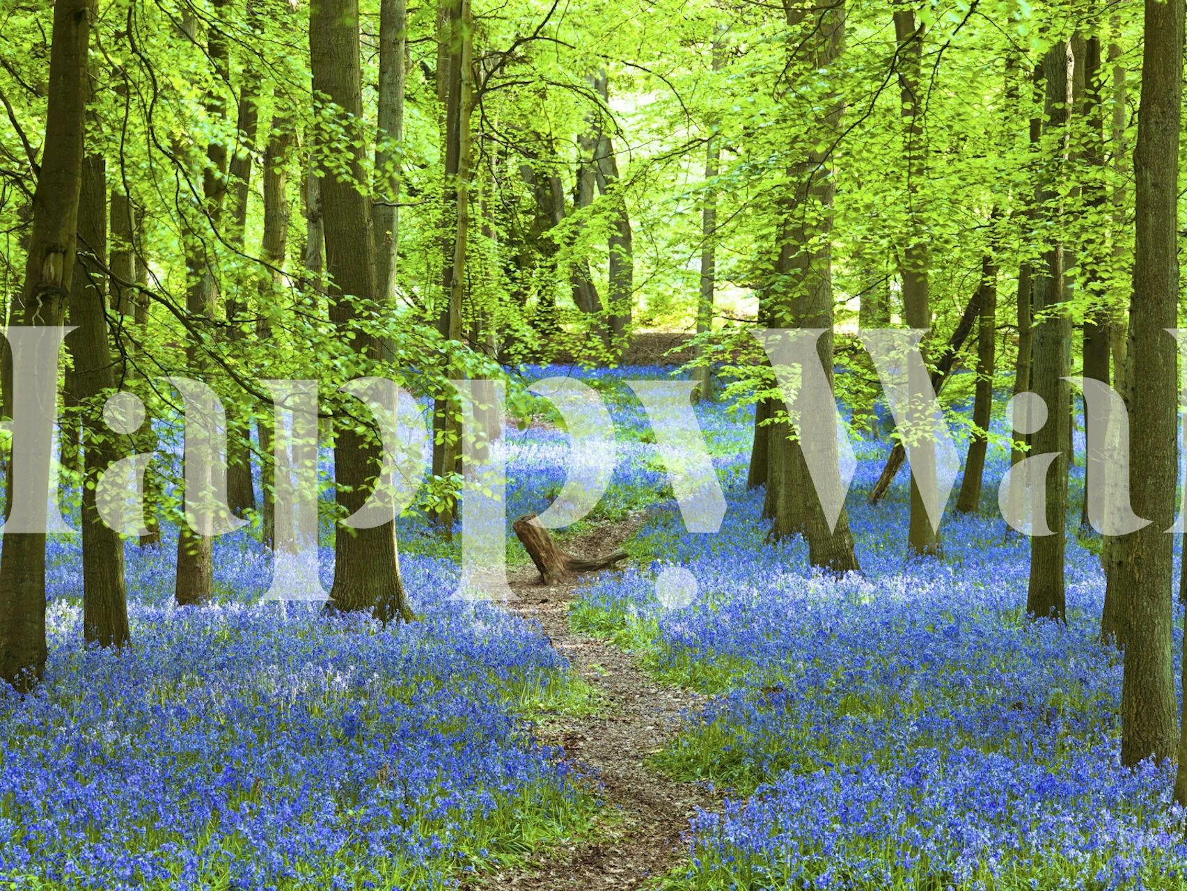 Azure Pathway wallpaper in a vibrant room