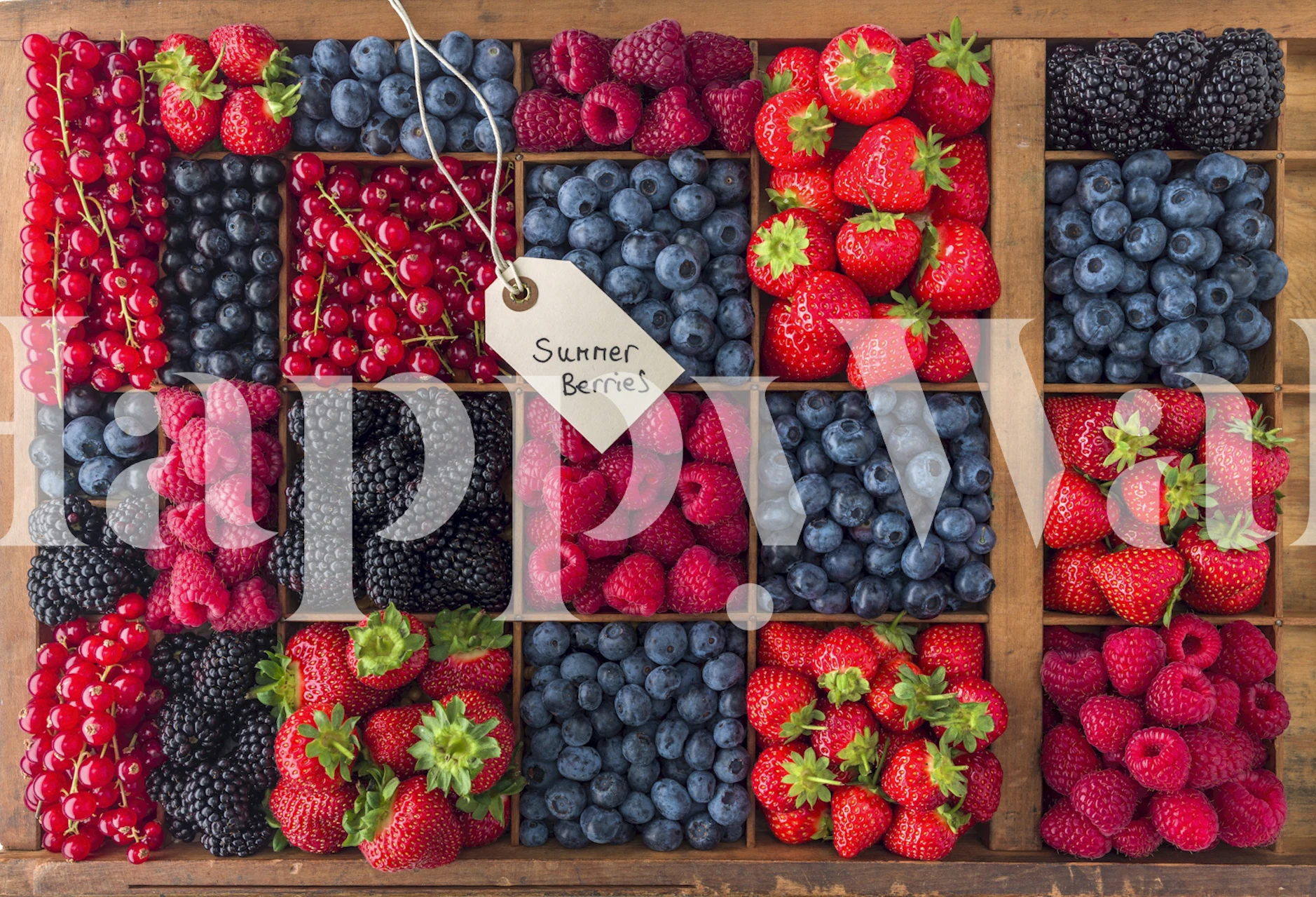 Colorful arrangement of berries in red and blue hues wallpaper