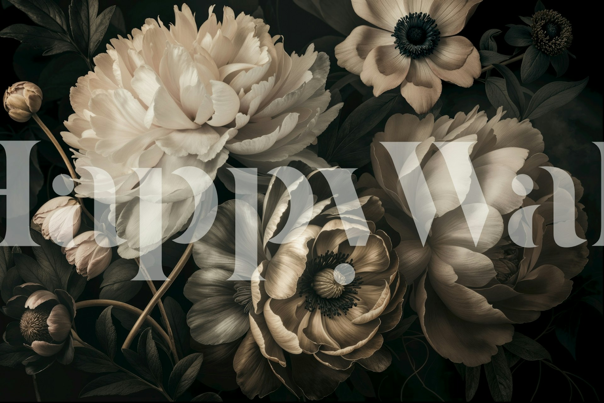 Grote bloemen in ivoor en bruin op zwart achtergrond wallpaper