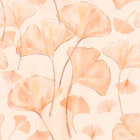 Serene Ginkgo in Peach Hue tapetit