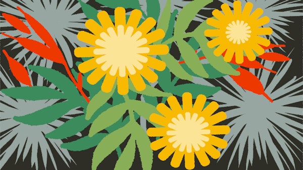 70s California Spring Flowers