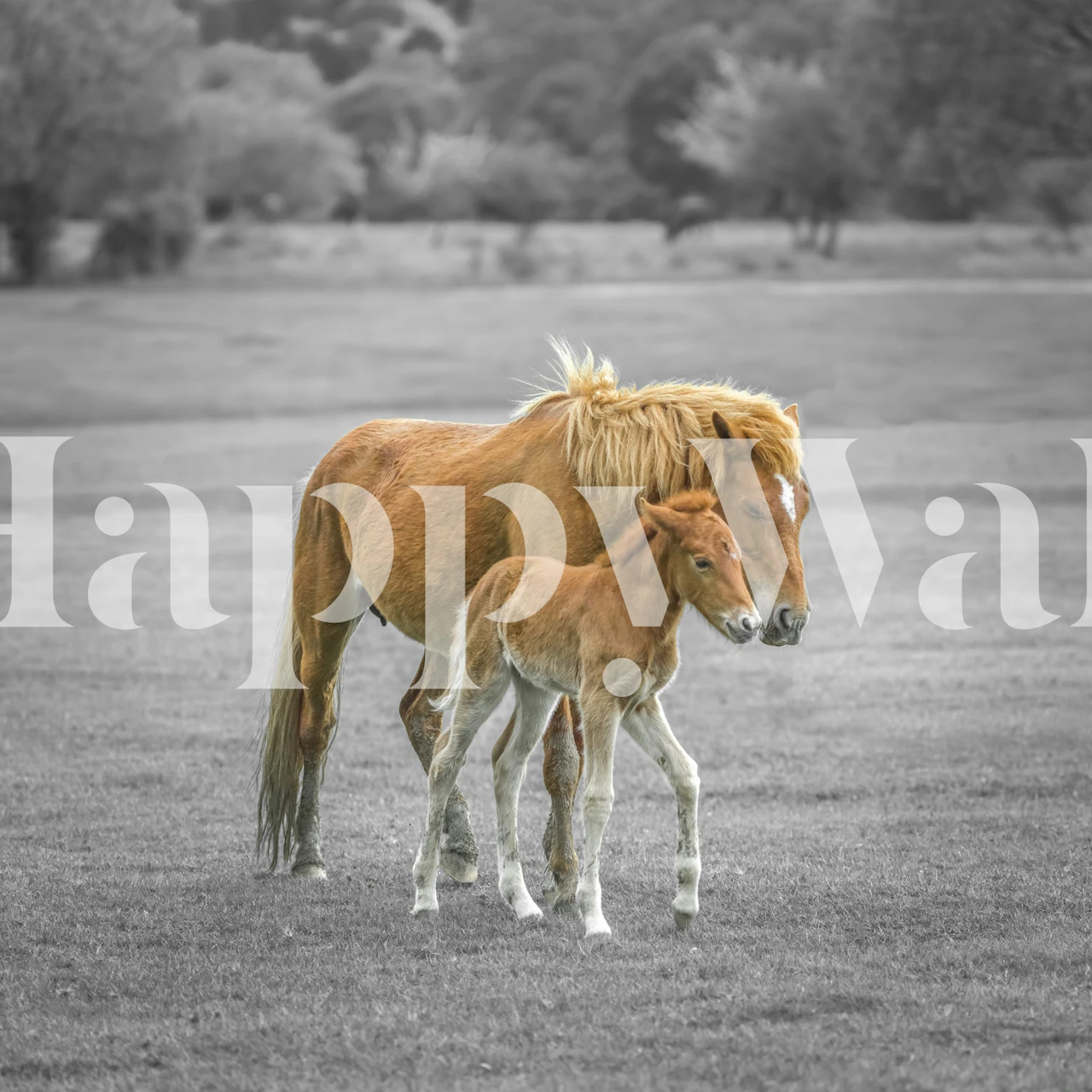 Wallpaper featuring a horse and foal