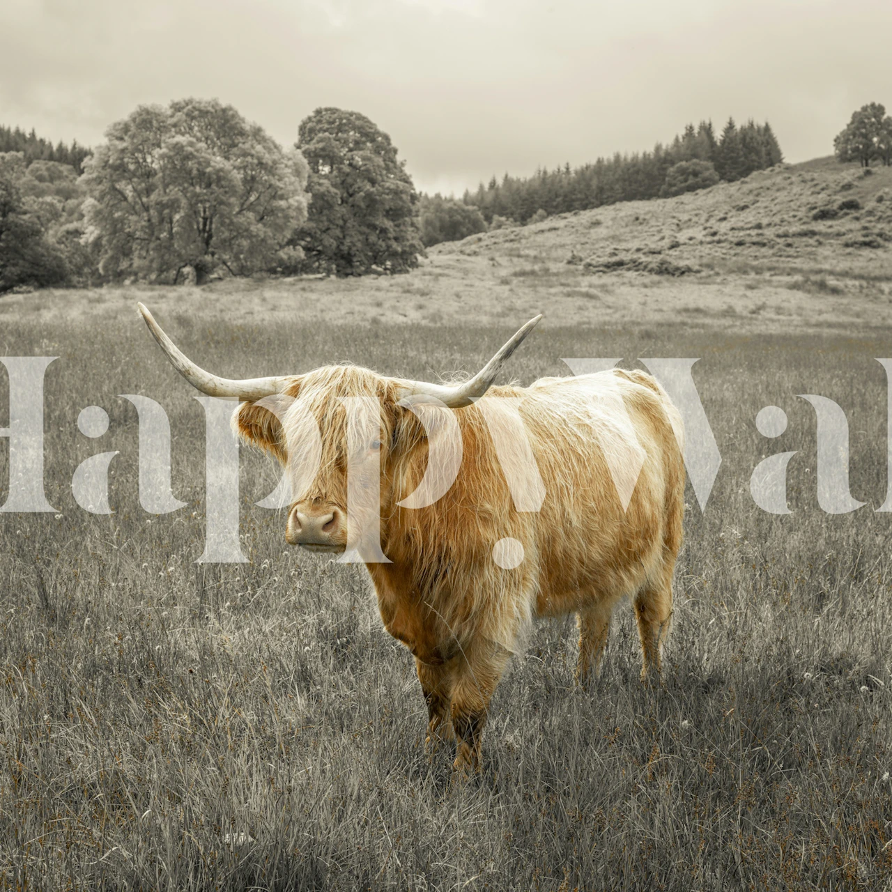 Regal Highland Guardian tapet vist i et rom