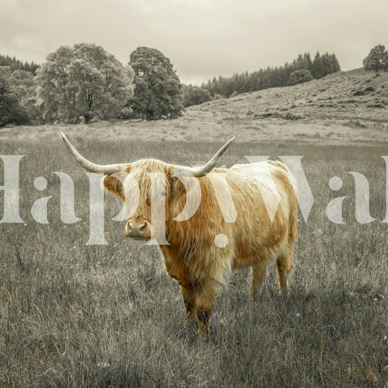 Tapeta Regal Highland Guardian wyświetlona w pokoju