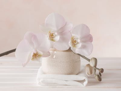 Τοιχογραφία