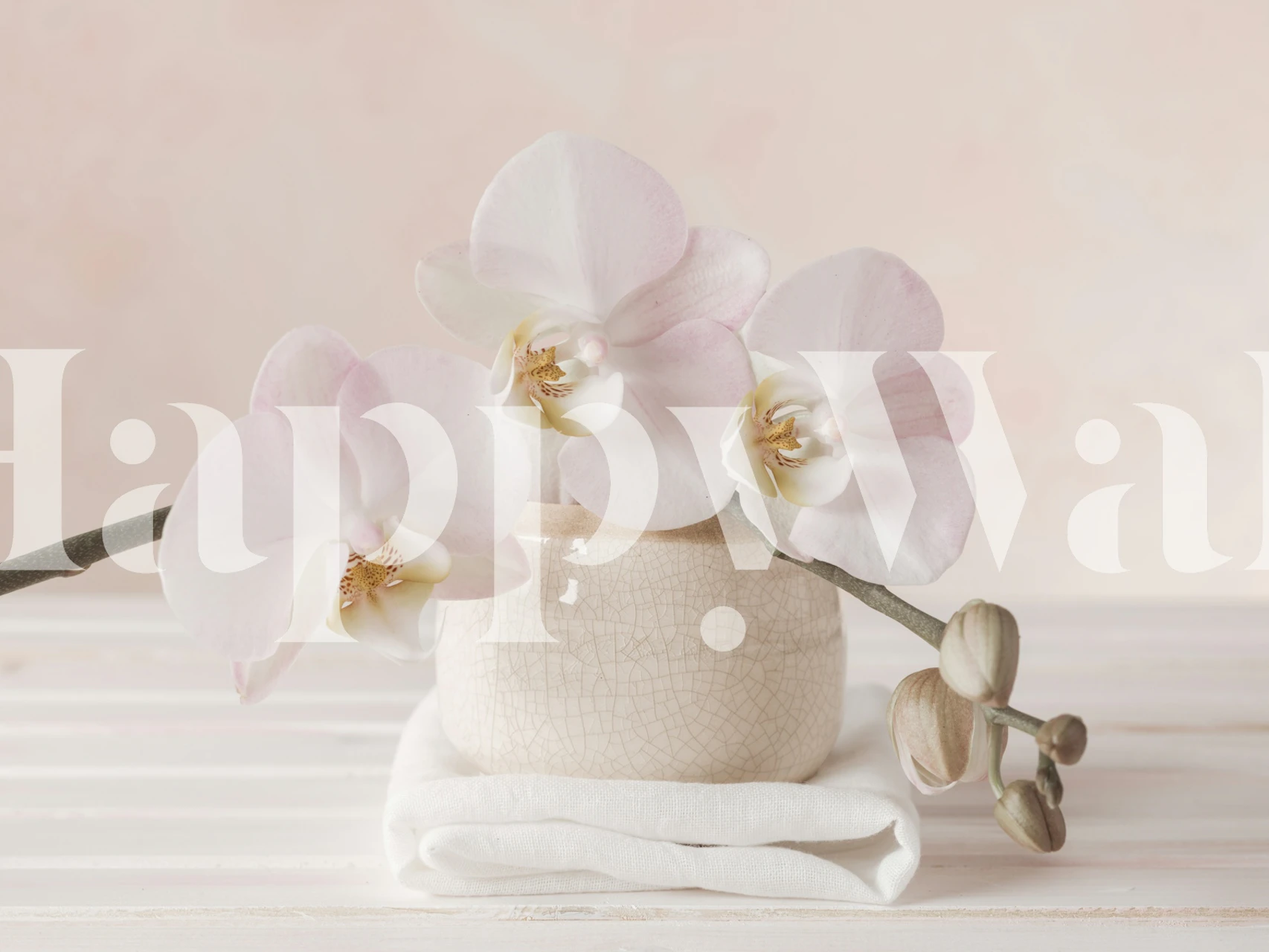 Blooming orchids wallpaper design in room setting