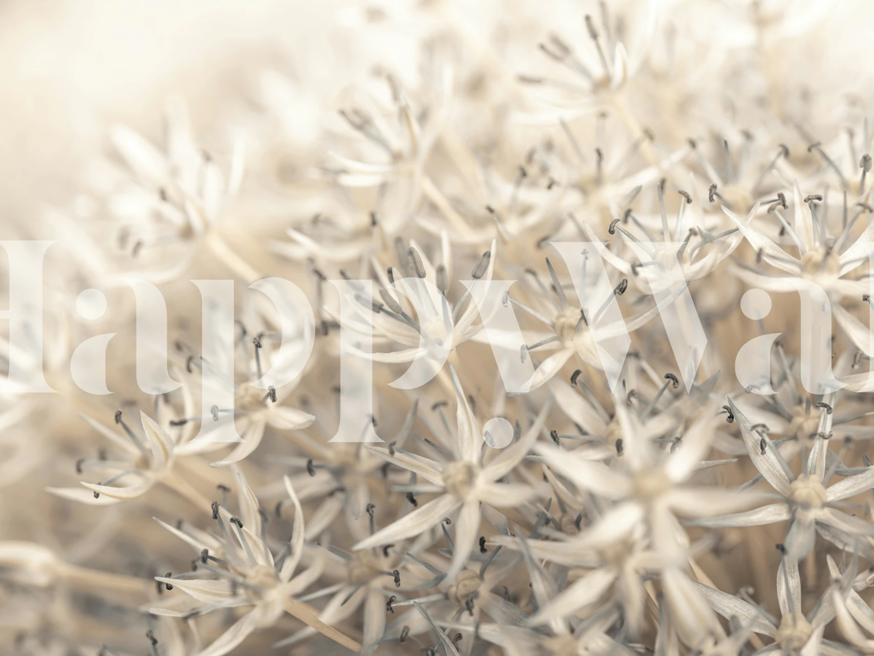 Delicate white floral pattern wallpaper with soft textures and muted tones