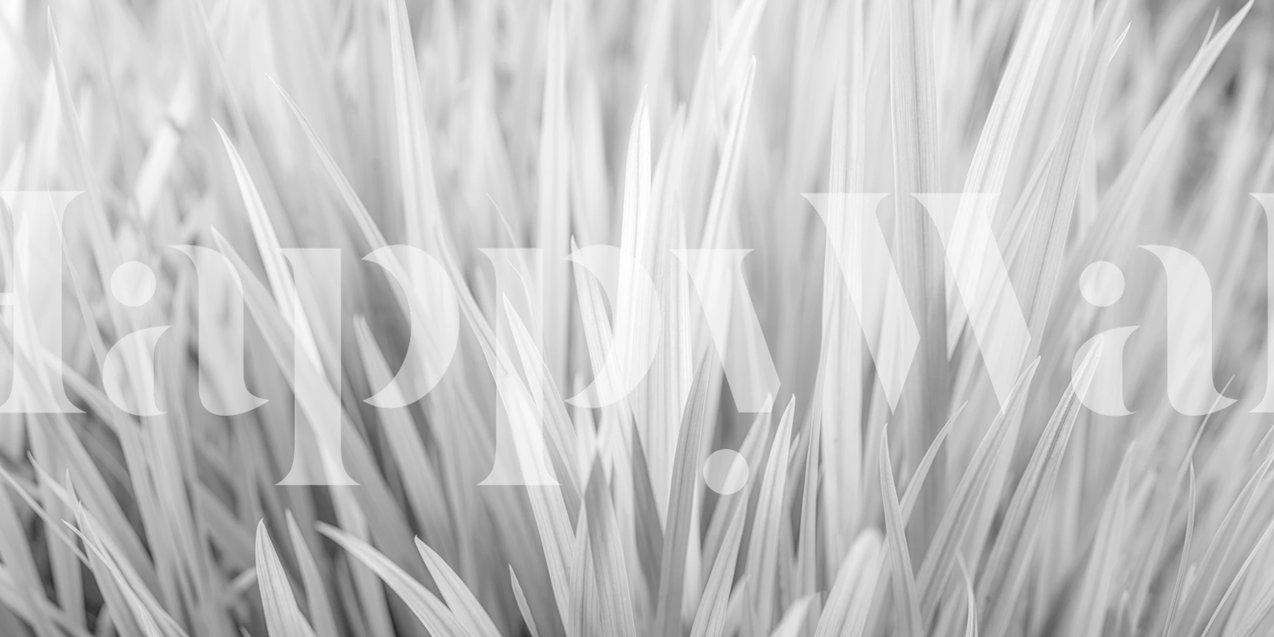 fotomural vinílico de parede abstrato com padrão de grama em tons monocromáticos