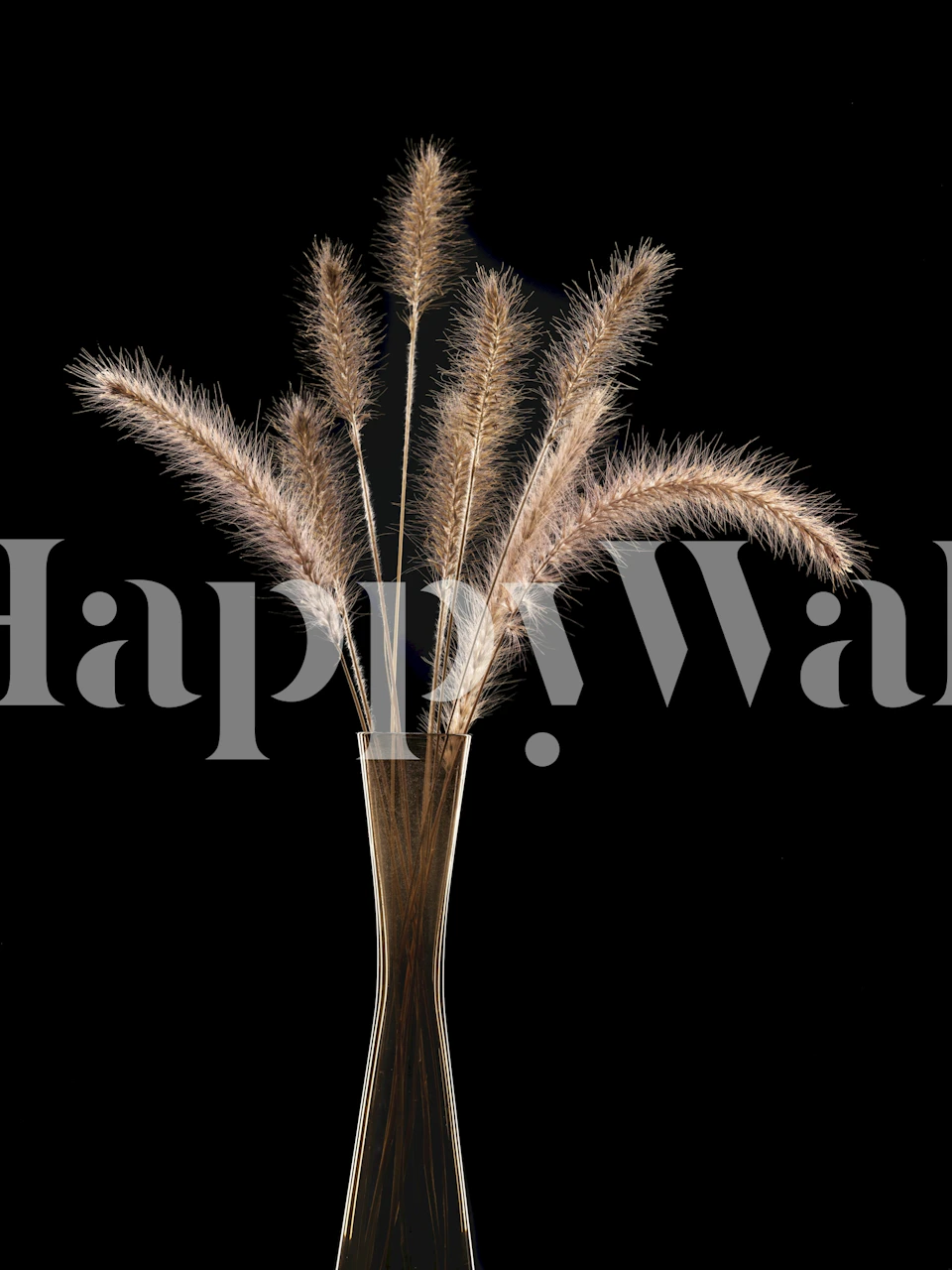 Foxtail grass Tapete in einer Raumgestaltung