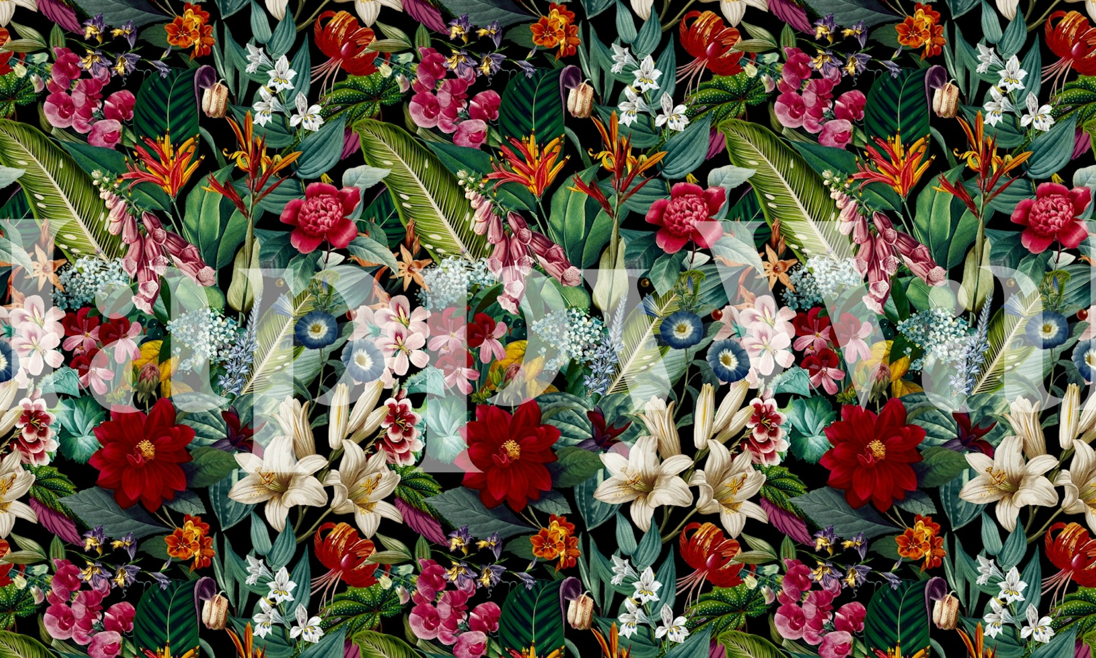 Colorful tropical floral wallpaper featuring various flowers and lush leaves