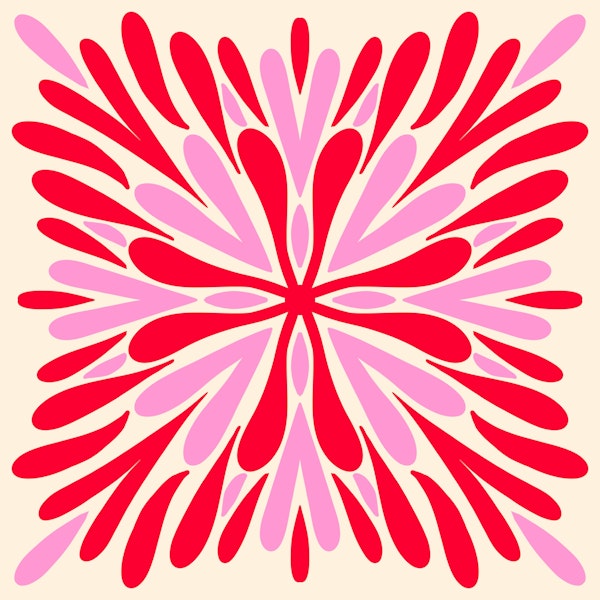 Modern Symmetry Petals - Red and Pink