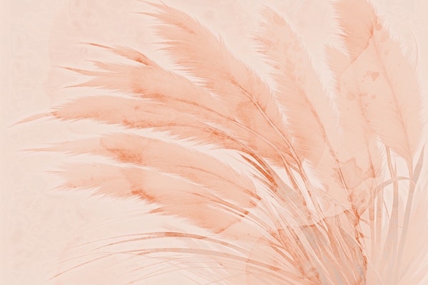 Meditative Pampas Grass