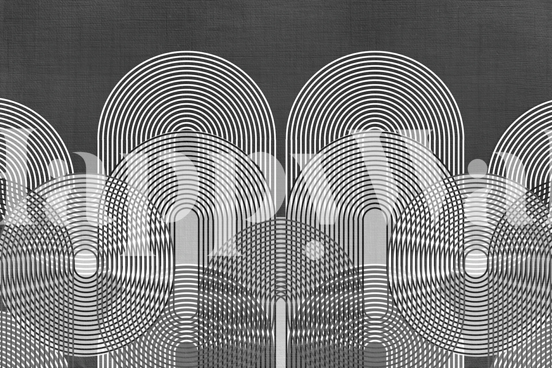 Modern arch and line pattern wall mural in monochrome