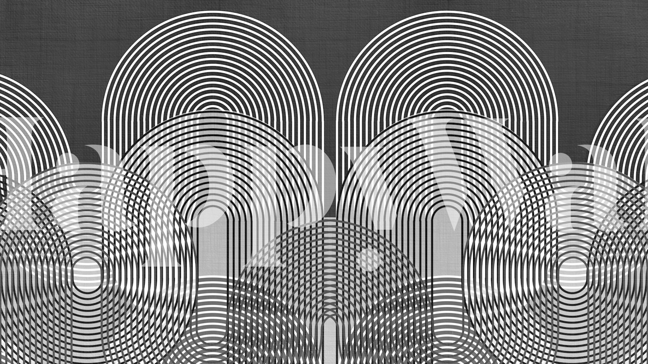 Papier peint Monochromatique Arch Circle Line dans une pièce