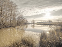 Pond Sunrise wallpaper