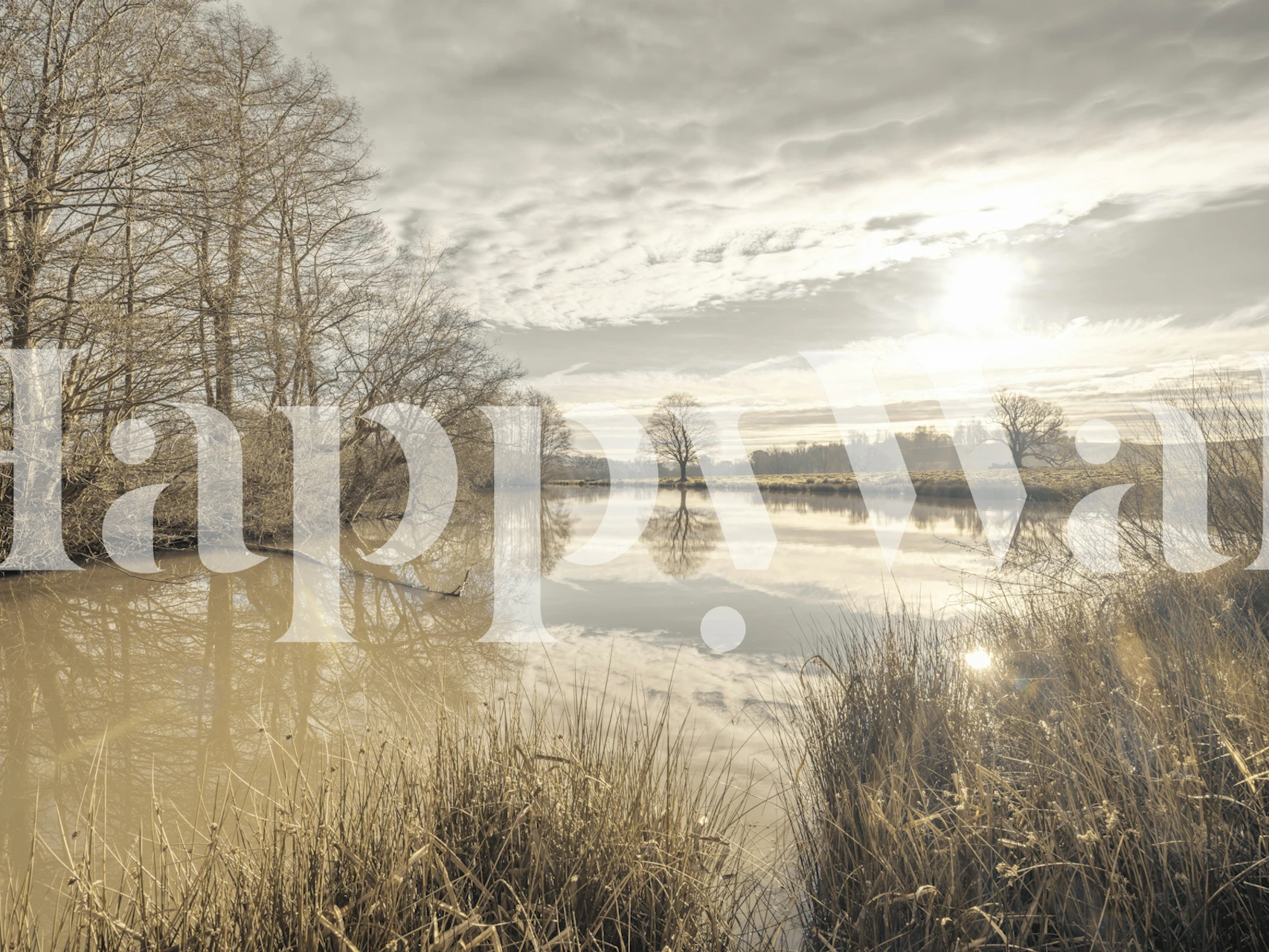 Stagno tranquillo all'alba Carta da parati con alberi e luce dorata