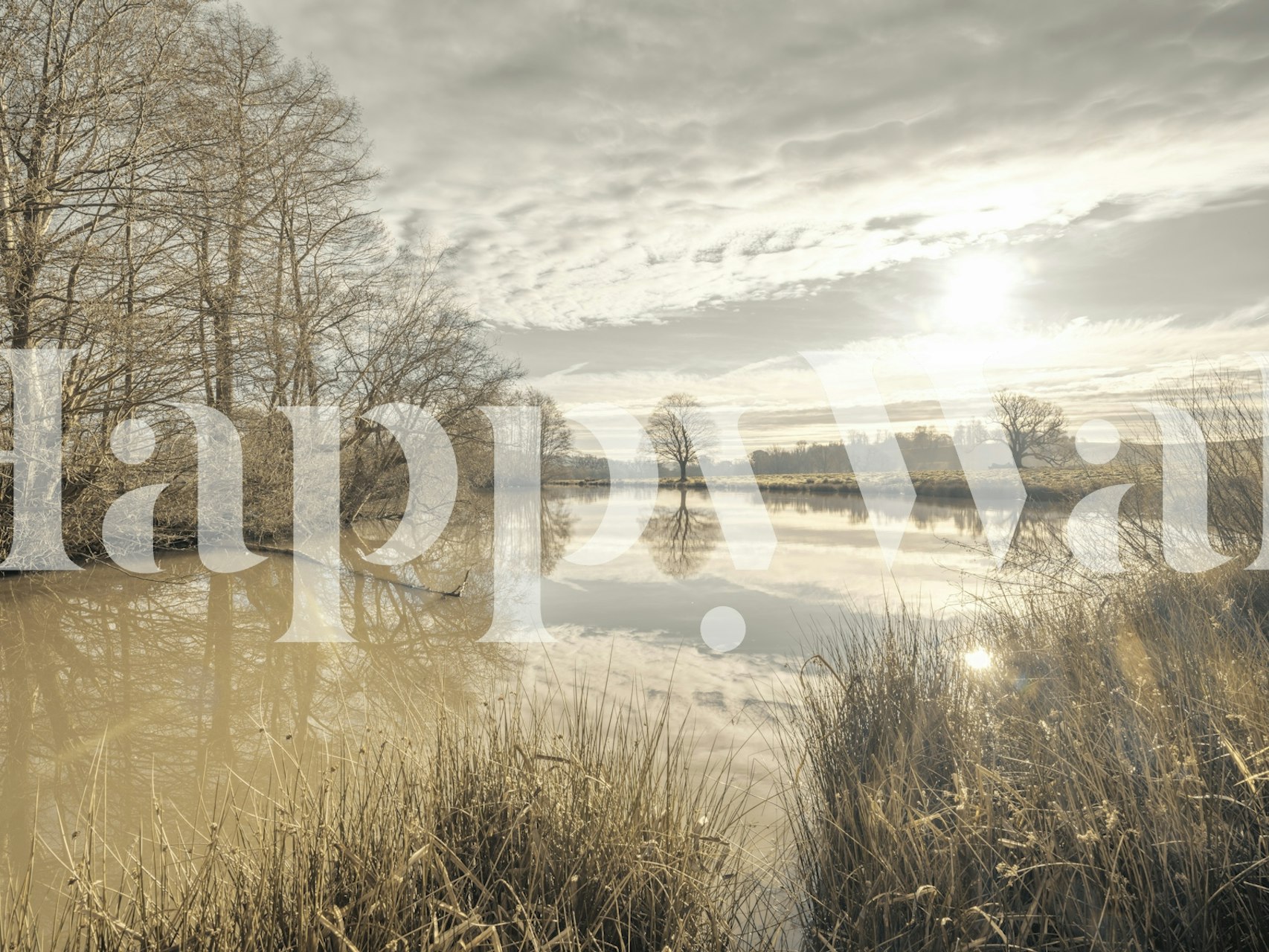 Spokojny staw o wschodzie słońca fototapeta z drzewami i złotym światłem