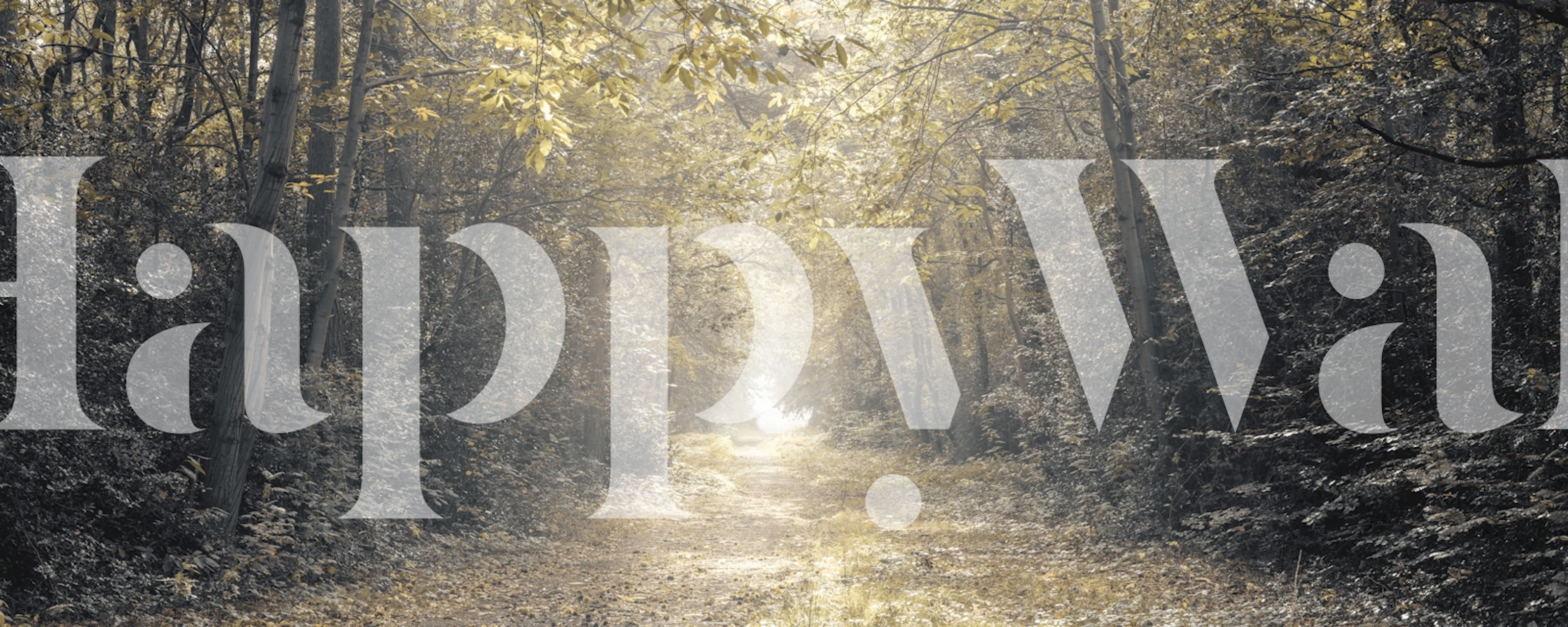 Papier peint Into the Unknown dans une chambre