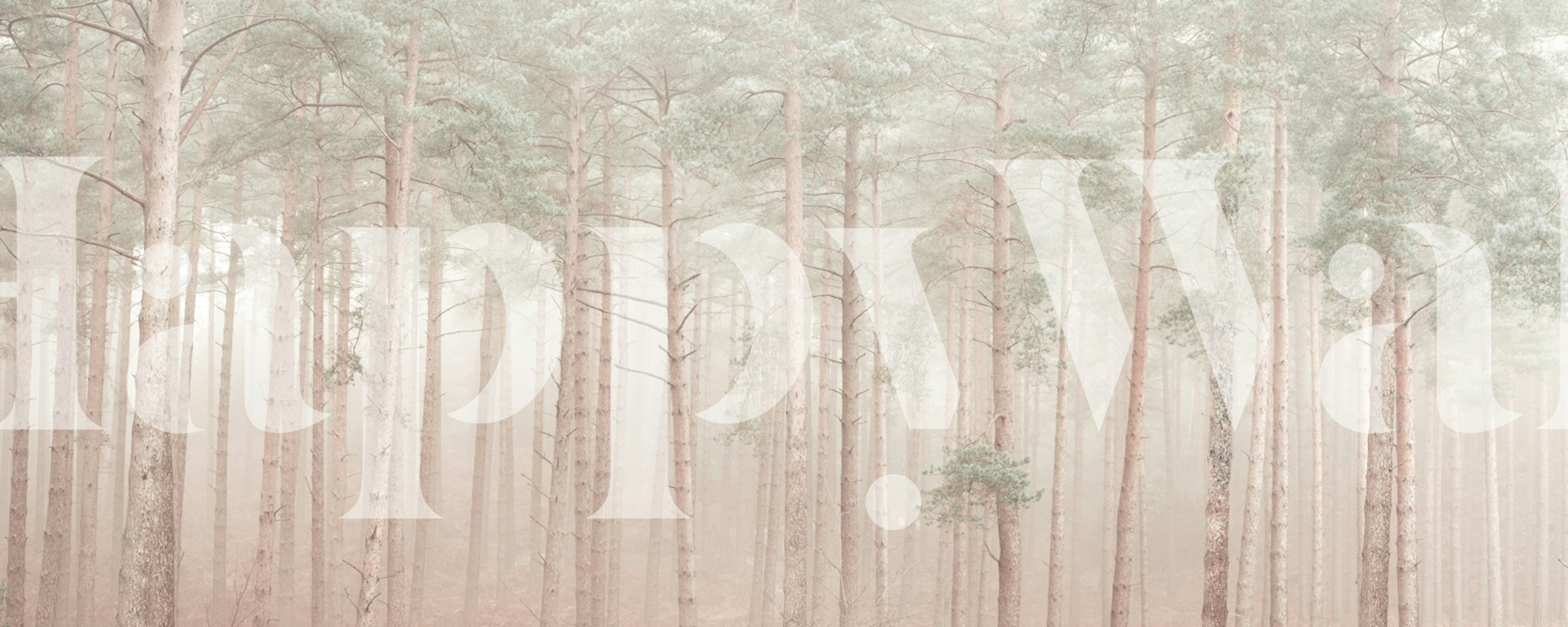 Misty Woodlands ταπετσαρία σε ένα δωμάτιο