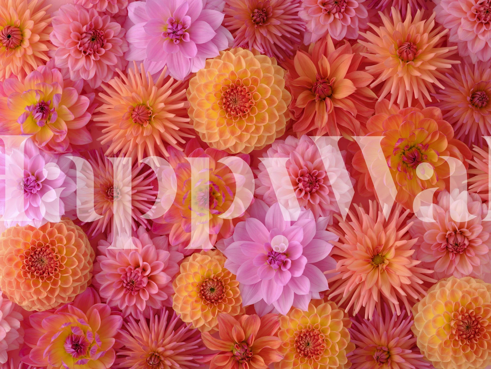 Floral wallpaper design in vibrant colors