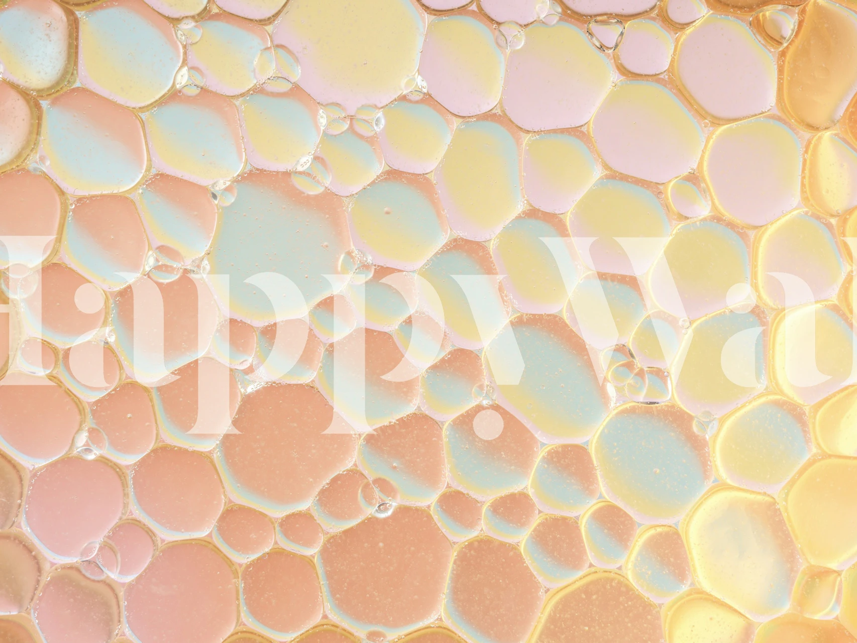 Colorful bubble medley wallpaper in a room