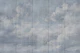 Pastel Blue Clouds on Cement Texture