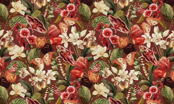 Moths and Butterflies IV