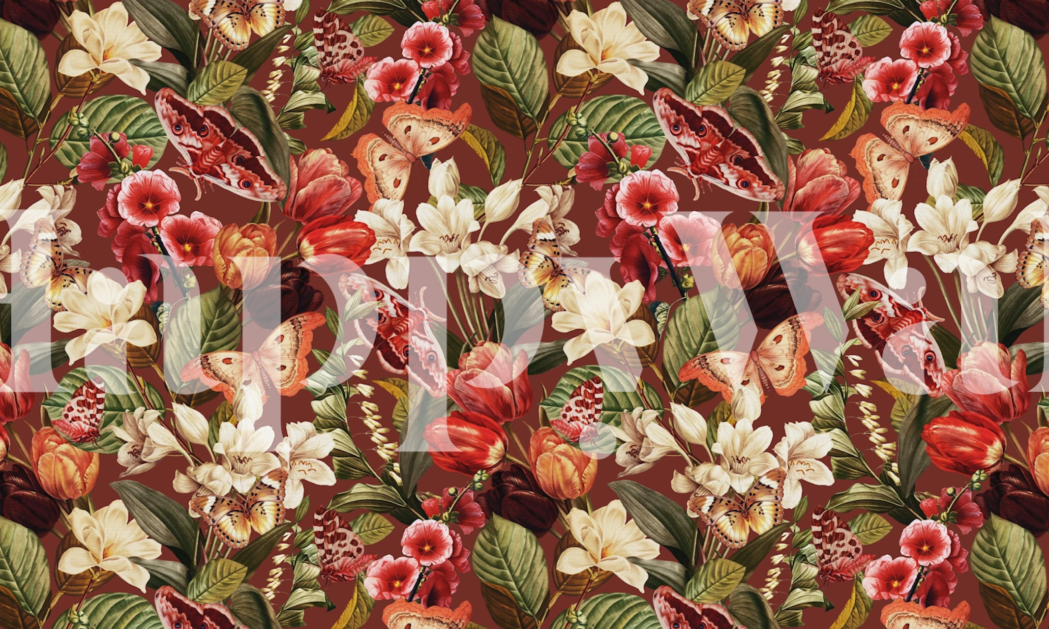 Moths and Butterflies IV wallpaper in a room