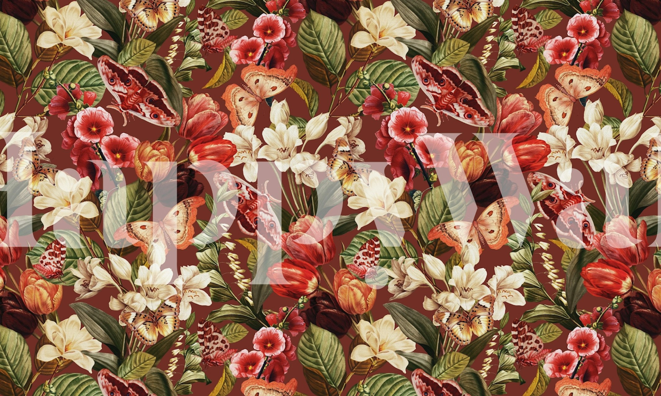 Moths and Butterflies IV wallpaper in a room