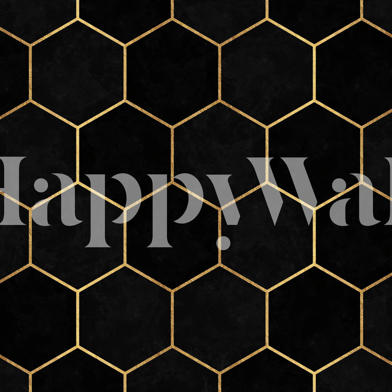 black hexagon wall mural with metallic outlines