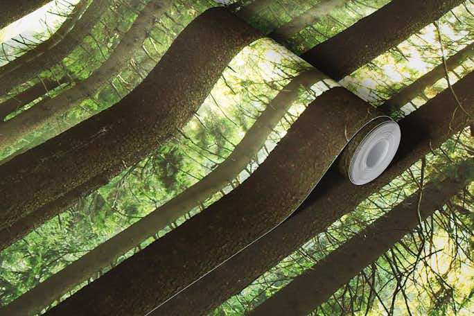 Forest lightwallpaper roll