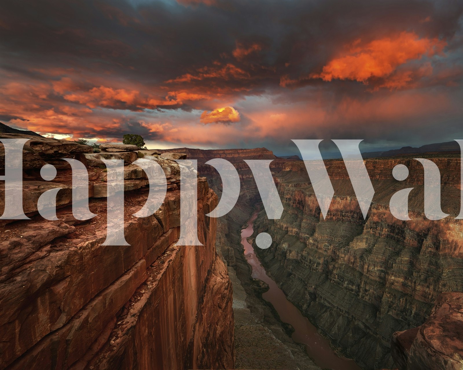 Grand Canyon tapet i et rum