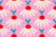 Coneflowers and Butterflies | Pink