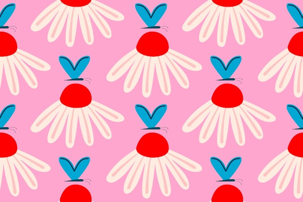 Coneflowers and Butterflies | Pink