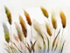 Painted Grass Art