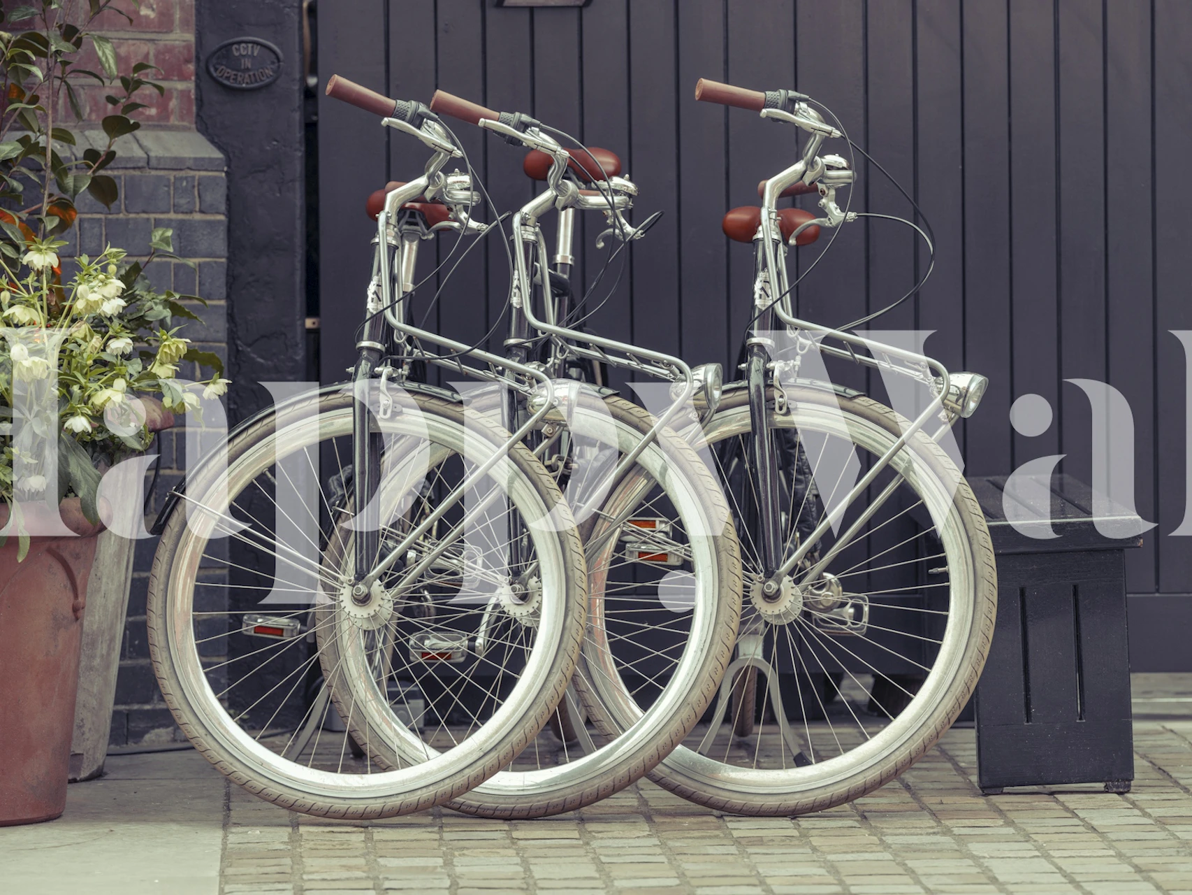 Vintage bicycles parked on a cobblestone street with flowers wallpaper
